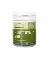 Suplementy naturalne - Houttuynia 100 kapsułek x 250 mg NANGA - miniaturka - grafika 1