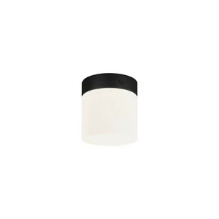 Nowodvorski Cayo lampa sufitowa 1-punktowa czarna 8055n 8055n - Lampy sufitowe - miniaturka - grafika 1
