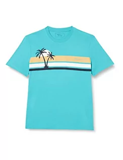 Koszulki męskie - TOM TAILOR Denim Męski T-shirt z nadrukiem w paski, 31044 - Deep Turquoise, M - grafika 1