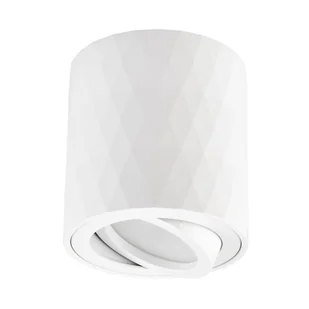 OPRAWA NATYNKOWA SPOT TUBA BIAŁA TIGO W1 - Lampy sufitowe - miniaturka - grafika 1