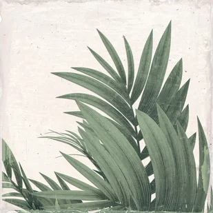 Glazura Botanic Spring 25x25 Keros Ceramica - Płytki klinkierowe - miniaturka - grafika 1