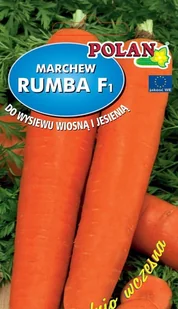 Marchew jadalna Rumba F1 3 g POLAN - Nasiona i cebule - miniaturka - grafika 1