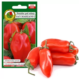 POMIDOR POD OSŁONY SAN MARZANO 2 NASIONA BEZ GMO 0,2g - Nasiona i cebule - miniaturka - grafika 1