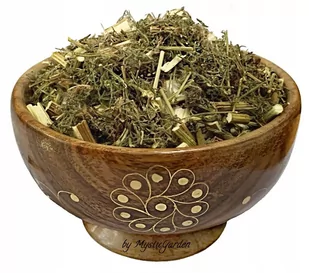 Bylica roczna Artemisia annua ziele PREMIUM 50g - Herbata - miniaturka - grafika 1