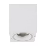 Lampy sufitowe - Ideus Sufitowa lampa nowoczesna Indi D04047 prostokątna do holu biała - miniaturka - grafika 1