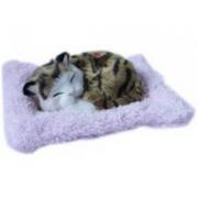 Maskotki i pluszaki - Askato Śpiący kotek na poduszce ciemno brązowy - miniaturka - grafika 1