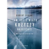 Felietony i reportaże - Świat Książki Tam gdzie wiatr krzyczy najgłośniej - Robert Peroni - miniaturka - grafika 1