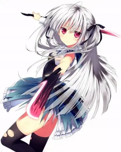 Plakat Anime Manga Absolute Duo ad_002 A2 (custom)