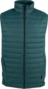 4f Kamizelka męska 4F M062 zielona 4FAW23TVESM062 41S S - Kamizelki męskie - miniaturka - grafika 1