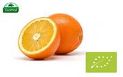 Owoce świeże i suszone - Warzywa Pomarańcze BIO IMPORT 1 kg # - miniaturka - grafika 1