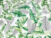 Meble modułowe i akcesoria - Okleina Meblowa Samoprzylepna Egzotyczne Liście Na Regał Meble Szafę 45x200 - miniaturka - grafika 1