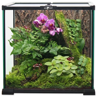 Repti Planet REPTI PLANET terrarium szklane 20x20x20cm - Terraria - miniaturka - grafika 1