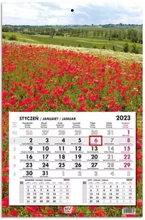 Kalendarz 2023 jednodzielny głowka płaska Maki - EV-Corp - Kalendarze - miniaturka - grafika 1