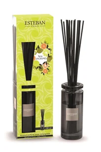 Dyfuzor zapachowy z patyczkami (100 ml) Terre d'agrumes Esteban - Zapachy do domu Dyfuzor zapachowy z patyczkami (100 ml) Terre d'agrumes Esteban - Zapachy do domu - miniaturka - grafika 1