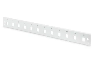 Digitus Płyta czołowa do światłowodowego panelu krosowego 12x LC duplex 1U (do DN-96200-QL), szary - Akcesoria do komputerów stacjonarnych - miniaturka - grafika 1