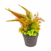 Sztuczne kwiaty - Paprotka w doniczce sztuczna roślina różne kolory - miniaturka - grafika 1