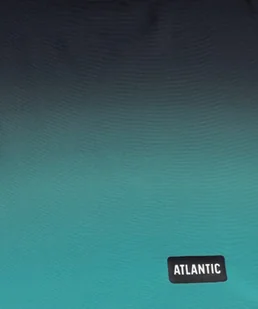 SZORTY KĄPIELOWE ATLANTIC KMS-317 WL24 (kolor granat - niebieski, rozmiar L) - Majtki męskie - miniaturka - grafika 1