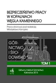 Technika - Bezpieczeństwo pracy w kopalniach węgla kamiennego - miniaturka - grafika 1