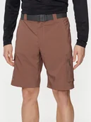 Odzież trekkingowa męska - Columbia Szorty materiałowe Silver Ridge™ Utility Cargo Short 2030744 Brązowy Regular Fit - miniaturka - grafika 1