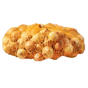 Cebula dymka Stutgart Riesen 500g Geolia - Nasiona i cebule - miniaturka - grafika 1