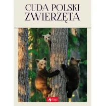 Cuda Polski Zwierzęta Łukasz Przybyłowicz - Albumy - przyroda - miniaturka - grafika 1