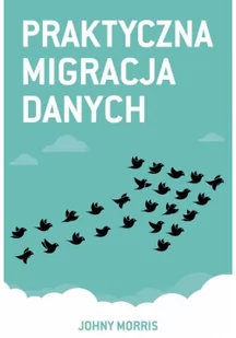 Linia Praktyczna migracja danych - Morris Johny - Książki o programowaniu - miniaturka - grafika 3