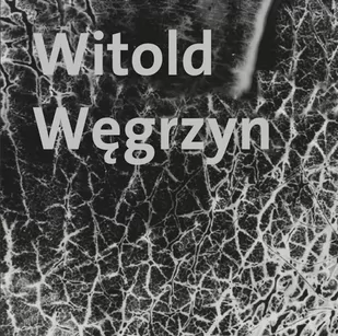 Muzeum Narodowe w Gdańsku Witold Węgrzyn Nieuchwytna materialność WĘGRZYN WITOLD - Książki o kulturze i sztuce - miniaturka - grafika 1