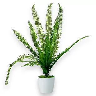 PAPROĆ PAPROTKA DONICZKOWA KWIATEK DONICZKOWY 90 CM SZTUCZNE KWIATY SZTUCZNE DRZEWKA - Sztuczne kwiaty - miniaturka - grafika 1
