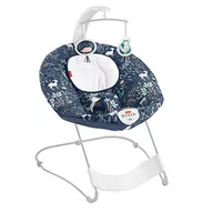 Skoczki dla dzieci - Fisher-Price HBF25 See und Soothe Deluxe Bouncer [Ekskluzywny Amazon] - miniaturka - grafika 1