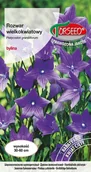 Nasiona i cebule - Nasiona Rozwar wielkokwiatowy niebieski 0,2g - Torseed - miniaturka - grafika 1
