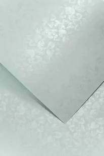 Karton Ozdobny Premium 250g/m2 LIŚCIE SZARY 20 arkuszy A4 - Pudła i kartony archiwizacyjne - miniaturka - grafika 1