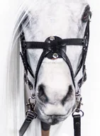 Maskotki i pluszaki - Ogłowie meksykańskie REALISTIC - hobby horse REALISTYCZNEGO - miniaturka - grafika 1