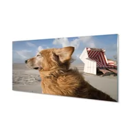 Dekoracje domu - Panel szklany ścienny Brązowy pies plaża 120x60 cm - miniaturka - grafika 1