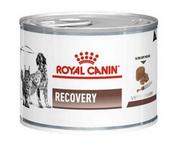 Mokra karma dla psów - Royal Canin Recovery 195g - miniaturka - grafika 1