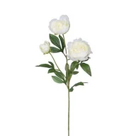 Sztuczne kwiaty - Sztuczna piwonia, 67 cm, biały - miniaturka - grafika 1