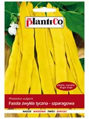 Nasiona i cebule - Plantico Fasola szparagowatyczna żółta - miniaturka - grafika 1