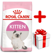 Royal Canin Kitten 36 20 kg