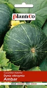 Nasiona i cebule - NASIONA Dynia Olbrzymia Ambar 5g PLANTICO 401624 - miniaturka - grafika 1