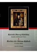 Książki o kulturze i sztuce - Kościoły diecezji kaliskiej - miniaturka - grafika 1