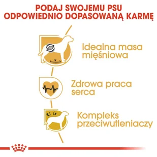 Royal Canin Boxer Junior 12 kg - Sucha karma dla psów - miniaturka - grafika 12