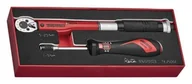 Klucze i nasadki - Teng Tools Zestaw Klucz I Wkrętak Dynamometryczny 1/4" Tezsd02 L-285440103 5020385033863 - miniaturka - grafika 1