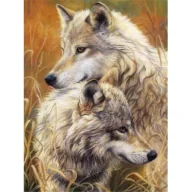 Malowanie po numerach - Titanum Malowanie po numerach - 40x50cm Wilki - miniaturka - grafika 1