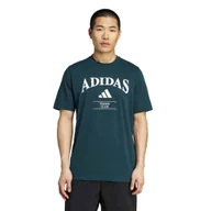 Koszulki sportowe męskie - Koszulka męska adidas Heritage Graphic Tee Aurora Ivy L - miniaturka - grafika 1