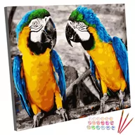 Malowanie po numerach - Zestaw do malowania po numerach, 40x50 cm, rozgadane papugi - miniaturka - grafika 1
