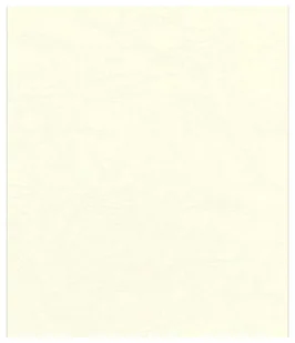 Fellowes Okładki Delta A4 kość słoniowa 100 szt. FSC - Grzbiety do bindownic Fellowes Okładki Delta A4 kość słoniowa 100 szt. FSC - Grzbiety do bindownic - miniaturka - grafika 1