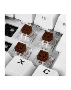 Sharkoon Kailh Box Brown switch set, key switches brown/transparent, 35 Pieces - Klawiatury - miniaturka - grafika 1