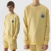Bluzy dla chłopców - 4F BLUZA CHŁOPIĘCA DRESOWA SPORTOWA DZIECIĘCA SS24 - miniaturka - grafika 1