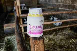 Kerbl-Kolba Środek owadobójczy na muchy- 500 ml - Akcesoria jeździeckie - miniaturka - grafika 3