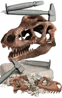 Mały naukowiec - Anatomia Czaszka Dinozaura Archeologia Dla Dzieci Zestawy Kreatywne Zabawki - miniaturka - grafika 1