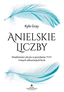 Anielskie liczby. Wiadomości ukryte w przesłaniu 11:11 i innych sekwencjach liczb - E-booki - religia - miniaturka - grafika 1